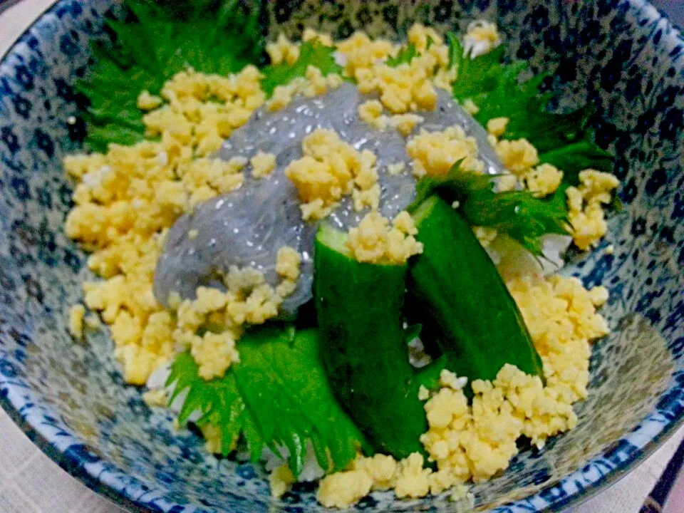 生しらす丼|シオミン shiominさん