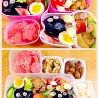 まっくろ黒スケ花見弁当|こここのさん