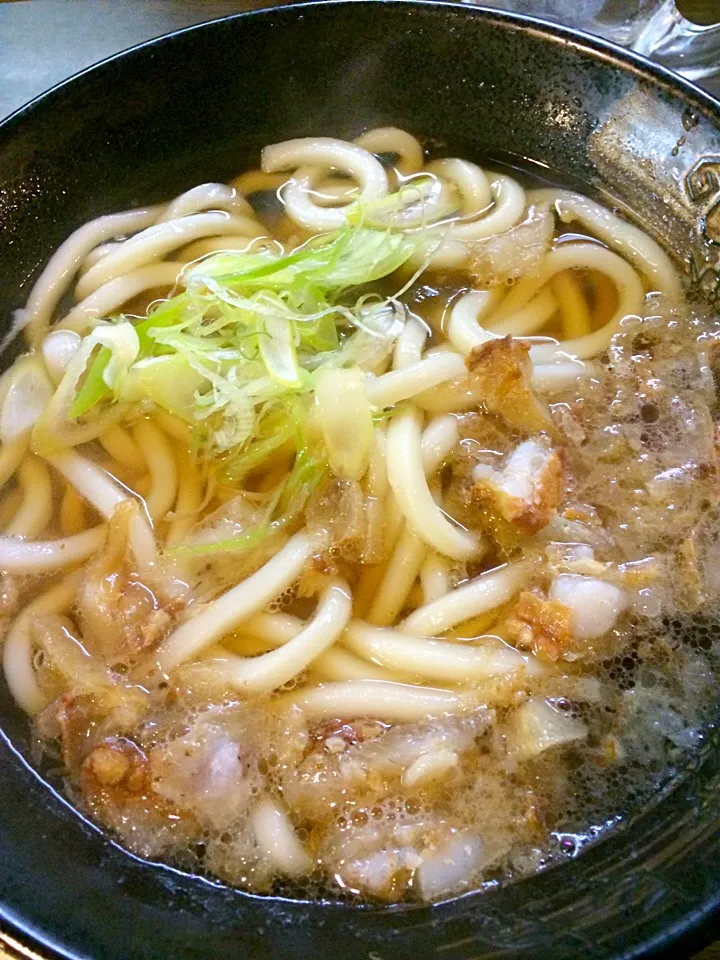 龍ノ巣のかすうどん|Kouki Tanabeさん