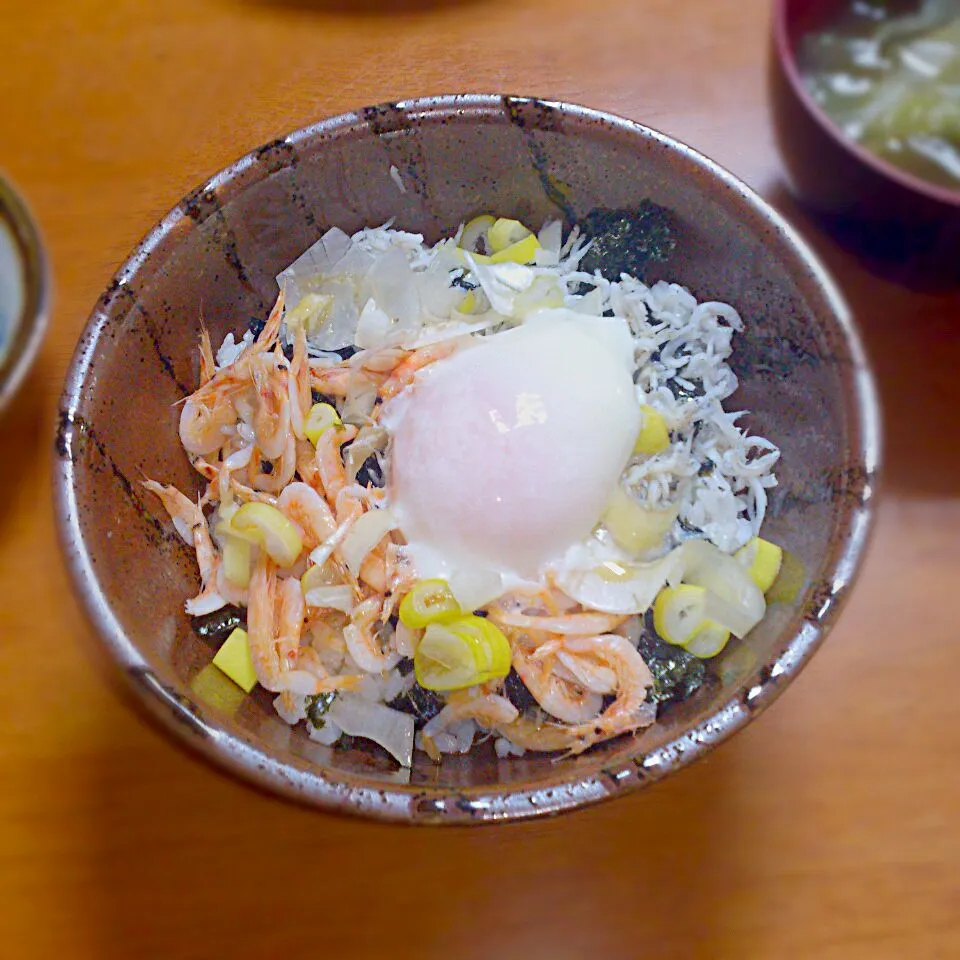 しらすと桜えび丼|ikuさん