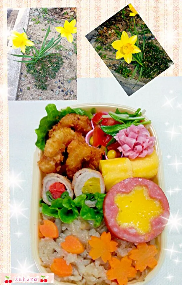 Snapdishの料理写真:炊き込みご飯の弁当|桜里さん