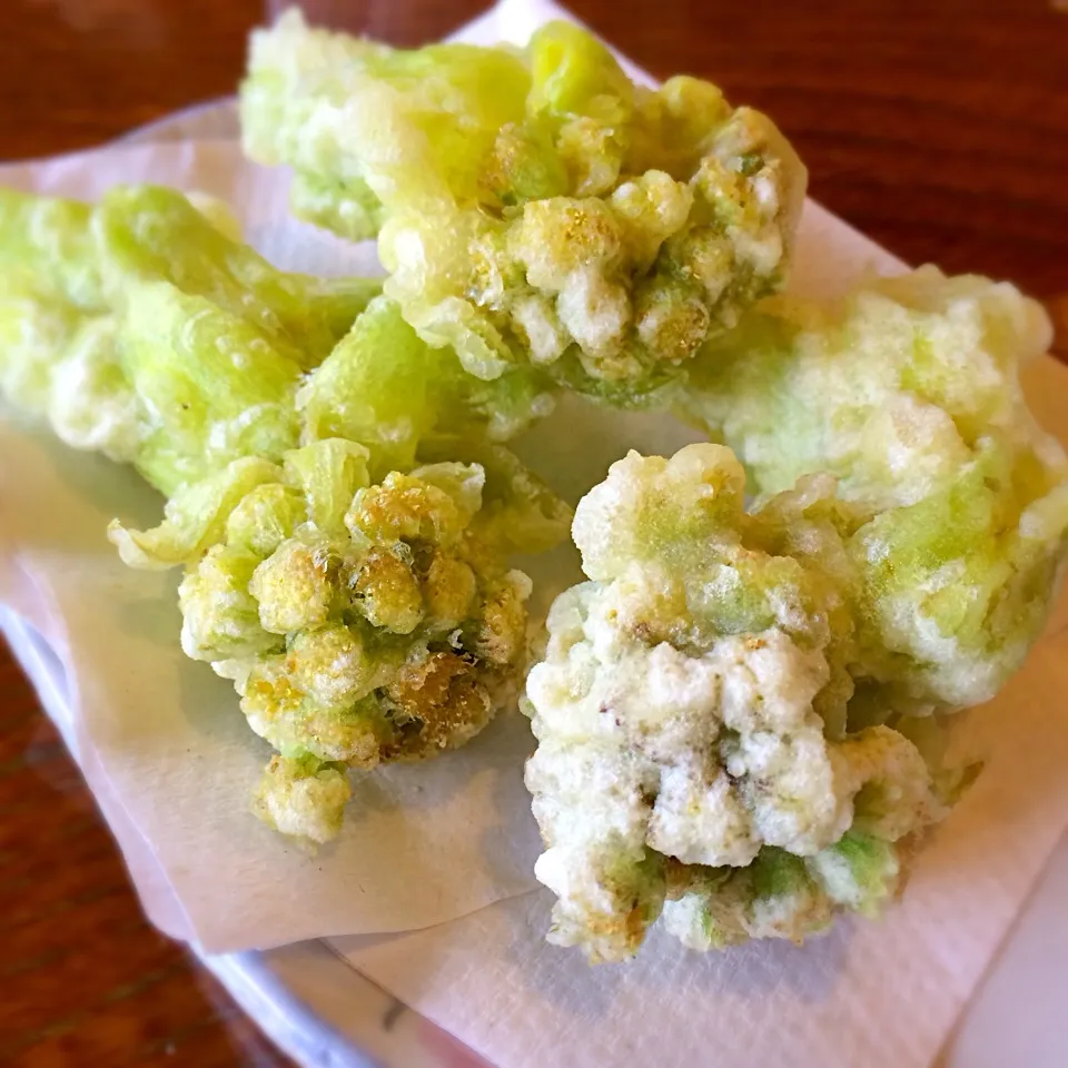 Snapdishの料理写真:butterbur sprout tempura ふきのとうの天麩羅|Junya Tanakaさん