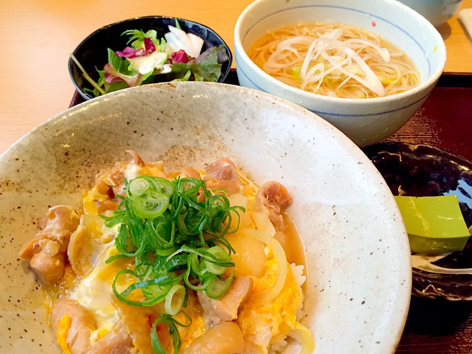 Snapdishの料理写真:比内地鶏親子丼と稲庭うどん|ヒロさん