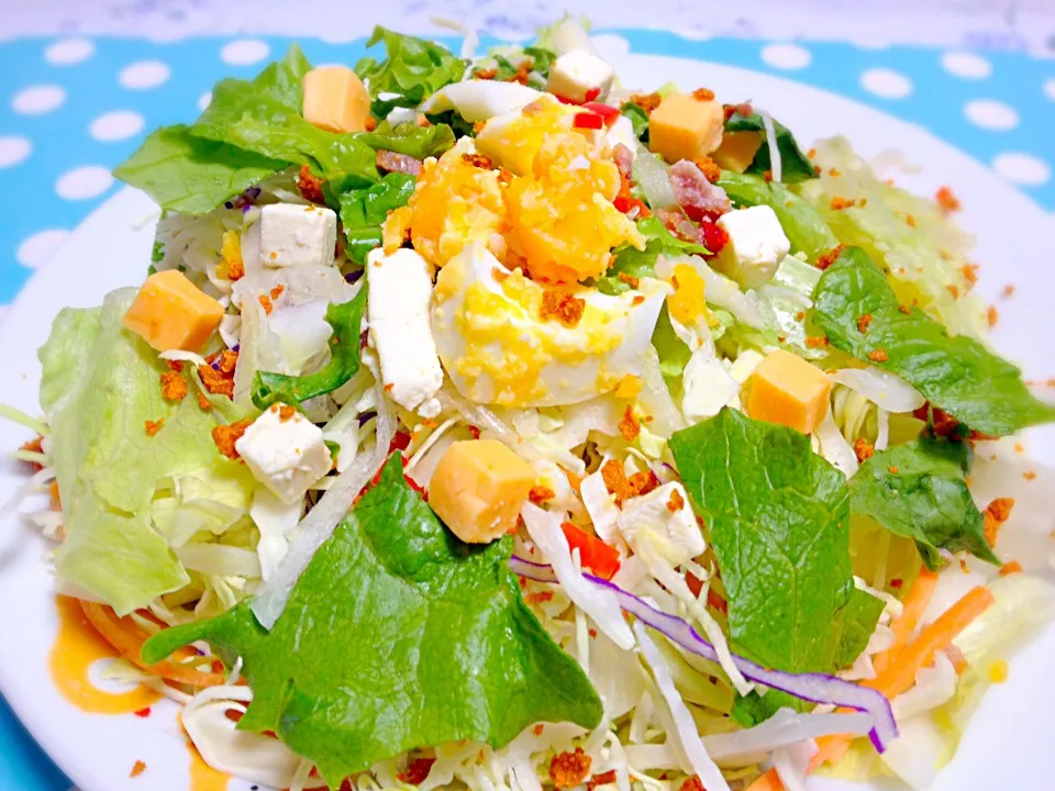 Fresh Vegie Salad|Liezlさん