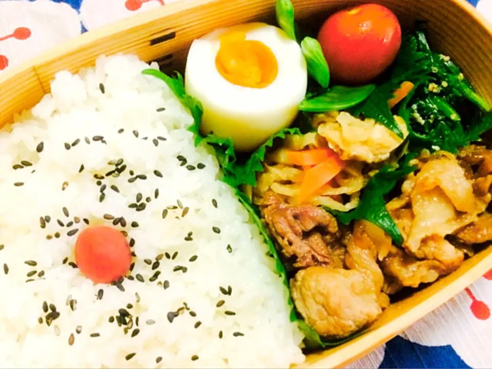 Snapdishの料理写真:今日のお弁当🌷|Noricoさん