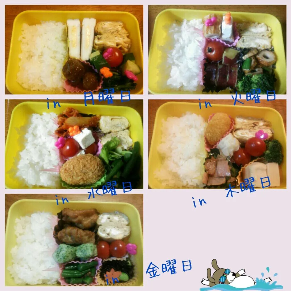 my弁当.｡.:*♡|むーこさん