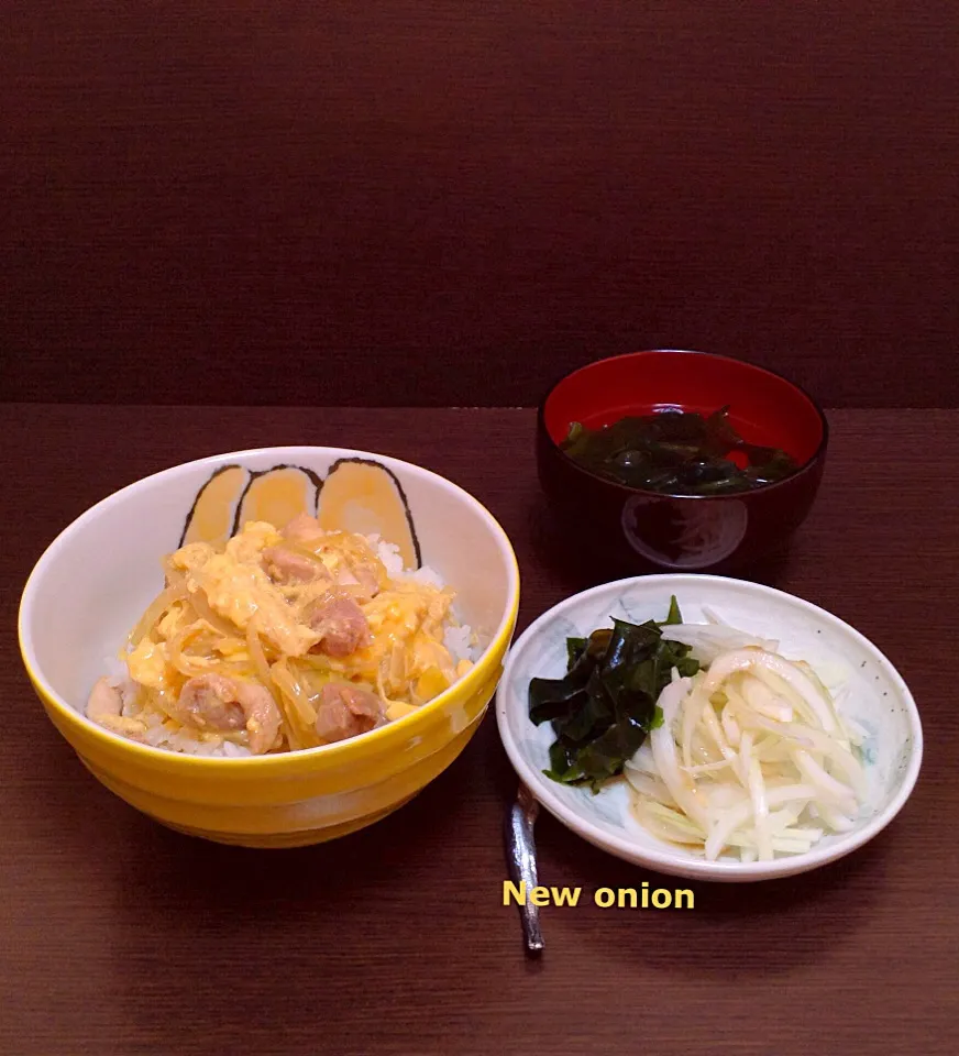 淡路島産  新玉ねぎ 親子丼+サラダ|浦島太郎さん