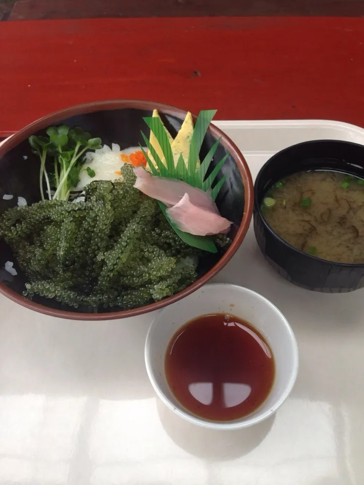 ランチ 道の駅 海ぶどう|いい友オマール海老さん