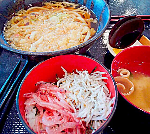 生桜海老としらす釜あげ丼、かけうどん
伊東マリンタウン|HM-jastさん