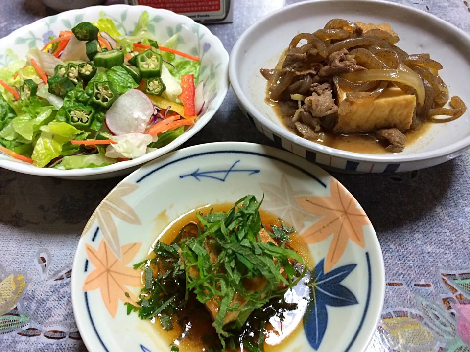 サラダ◎肉豆腐◎厚揚げの餡掛けシソのせ(人･∀･)|〜茉波〜さん