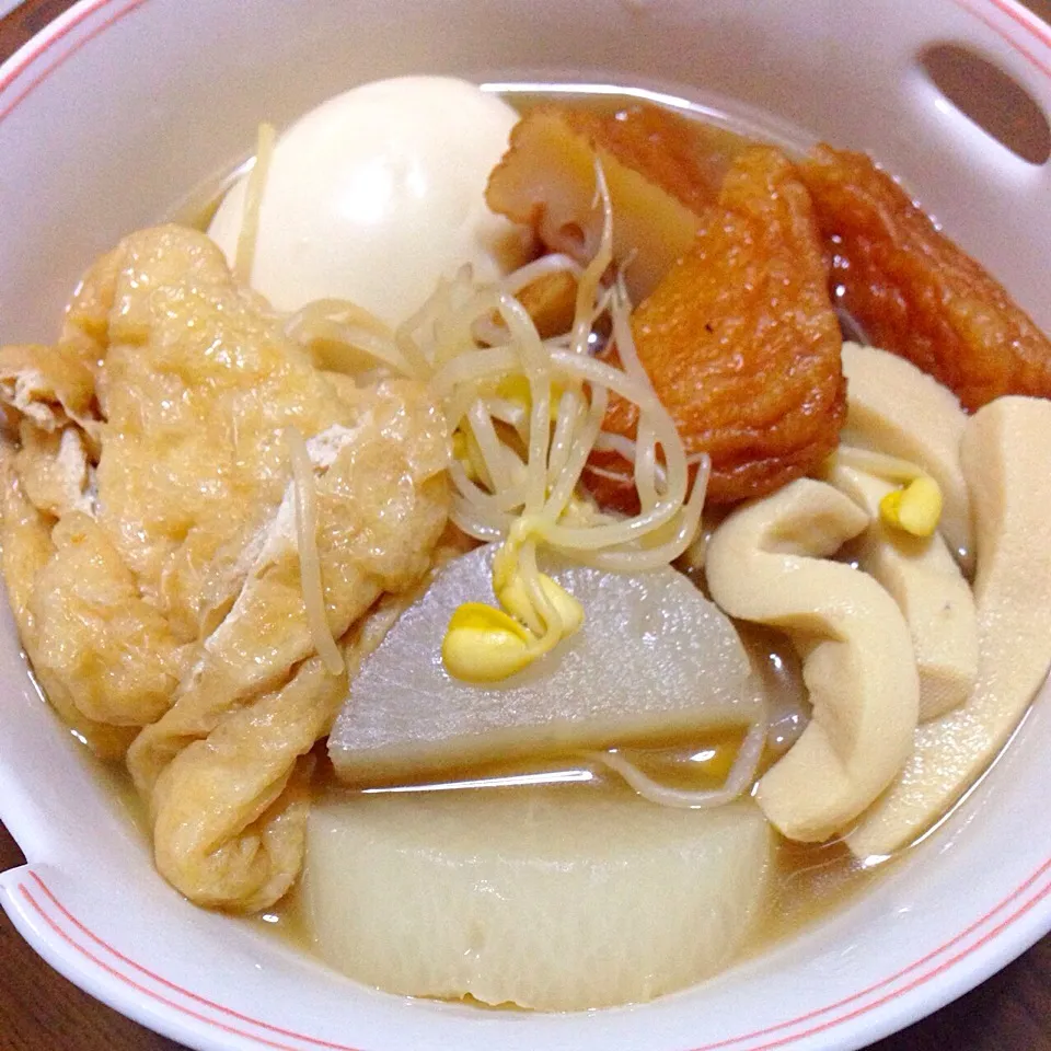 大根と豆もやしとさつま揚げと油揚げとしみ豆腐の煮物|豆もやし(チャニョ。)さん