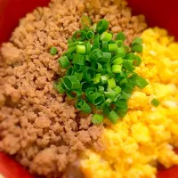 Snapdishの料理写真:そぼろ丼|yuk1r1nさん