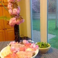 Snapdishの料理写真:Sashimi platter for Hanami / cherry blossoms viewing|Mic Coleさん