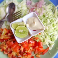 Salad in Pokhara|Mia Yatabeさん