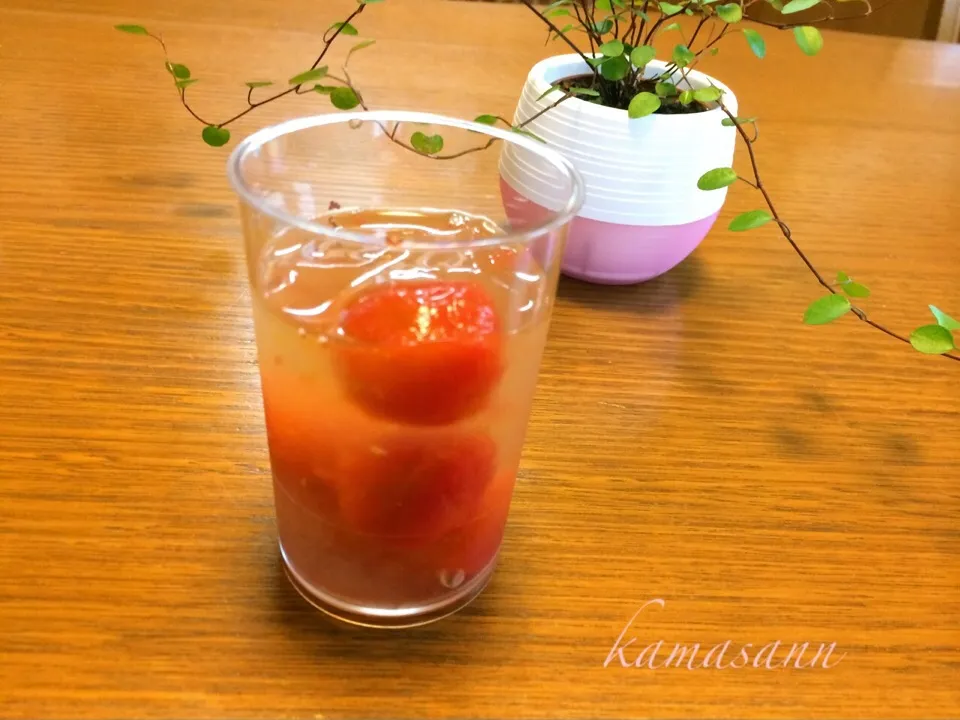 トマトゼリー🍅|かまさん