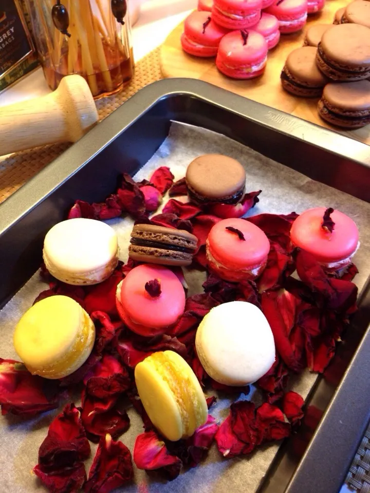 Snapdishの料理写真:Macarons : Rose / Caramel butter / Chocolate / Lemon|Kasem Rattanapinyopitukさん