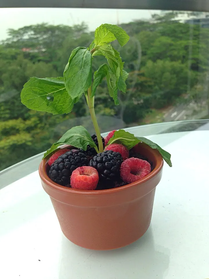 Ice cream with brownies flower pot desserts|chef baobao from Singaporeさん