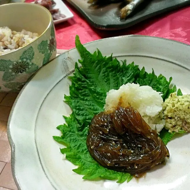 湘南しらすの沖付け|ふぃるまめんとさん