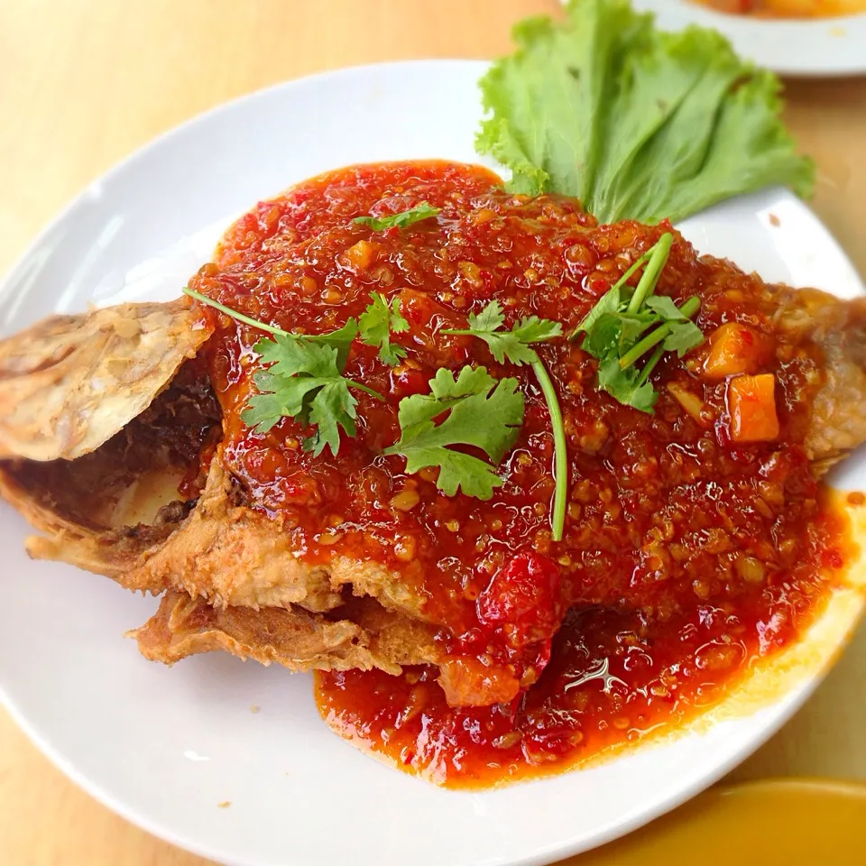 Red fish in thai chilli sauce|해리さん