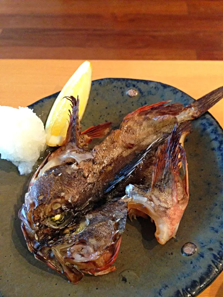 三河産カサゴ干物|あきらさん