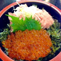 Snapdishの料理写真:いくらネギトロ丼☆|momiさん