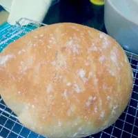 Snapdishの料理写真:No-Knead Wheat Bread|Grace Chuさん