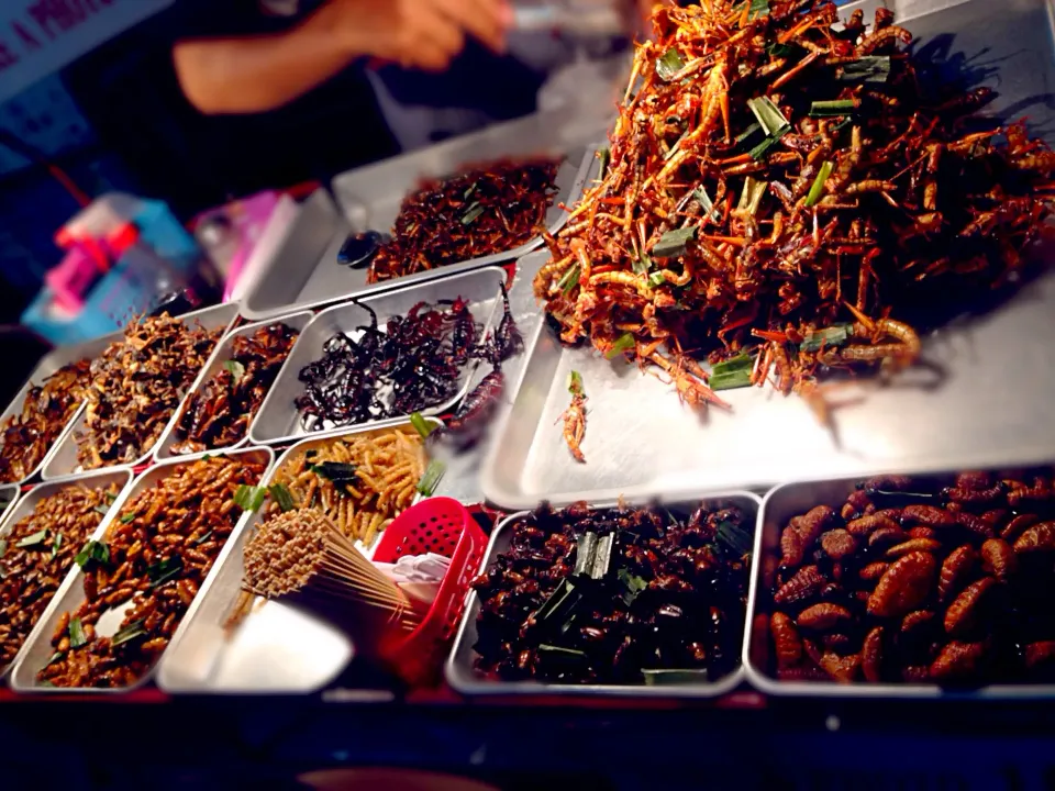 ゲテモノ屋台inかおさん通り @ถนนข้าวสาร Khaosan Road Night Market|Pixie Dustさん