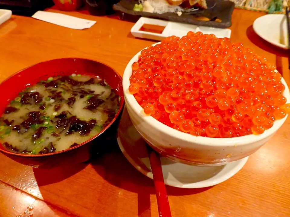 はちきょうのイクラ丼|東京ライオンズさん