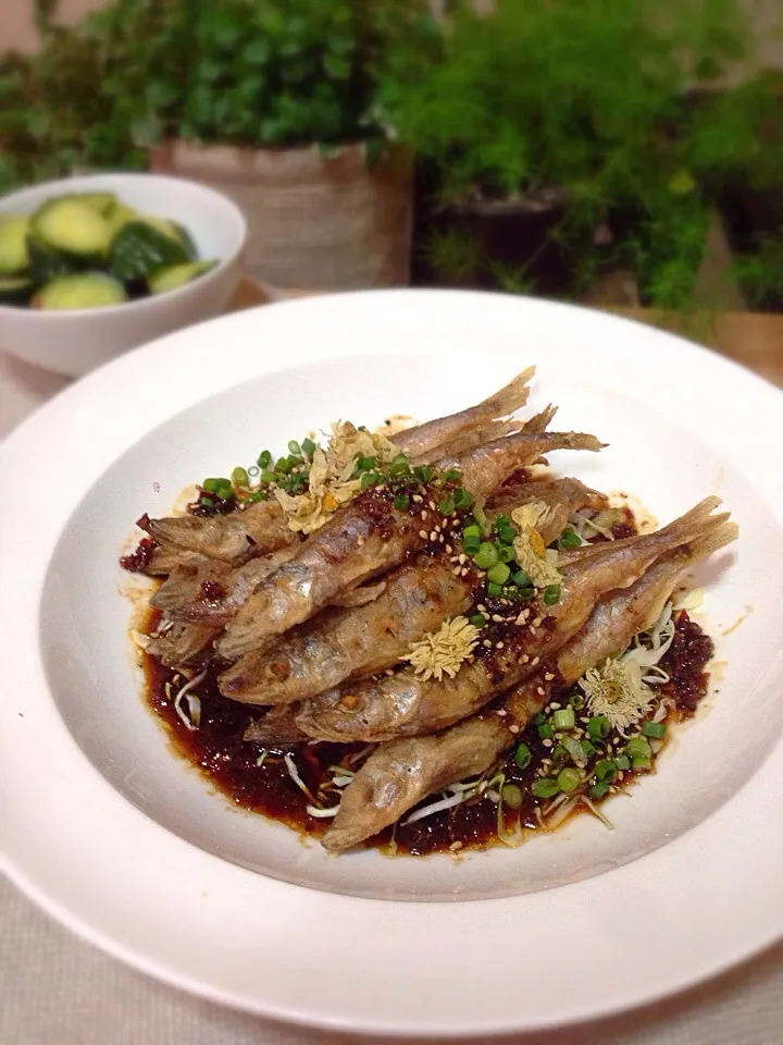 Shishamo with chrysanthemum, honey and black pepper sauce|rick chanさん