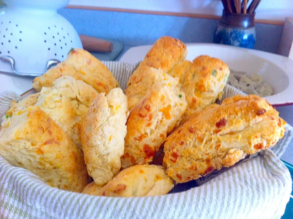 Cheddar and scallion biscuits|virginia frasseさん