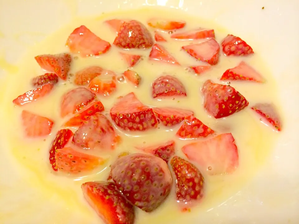 Strawberries and Cream|Cj Mendoza-Palosさん