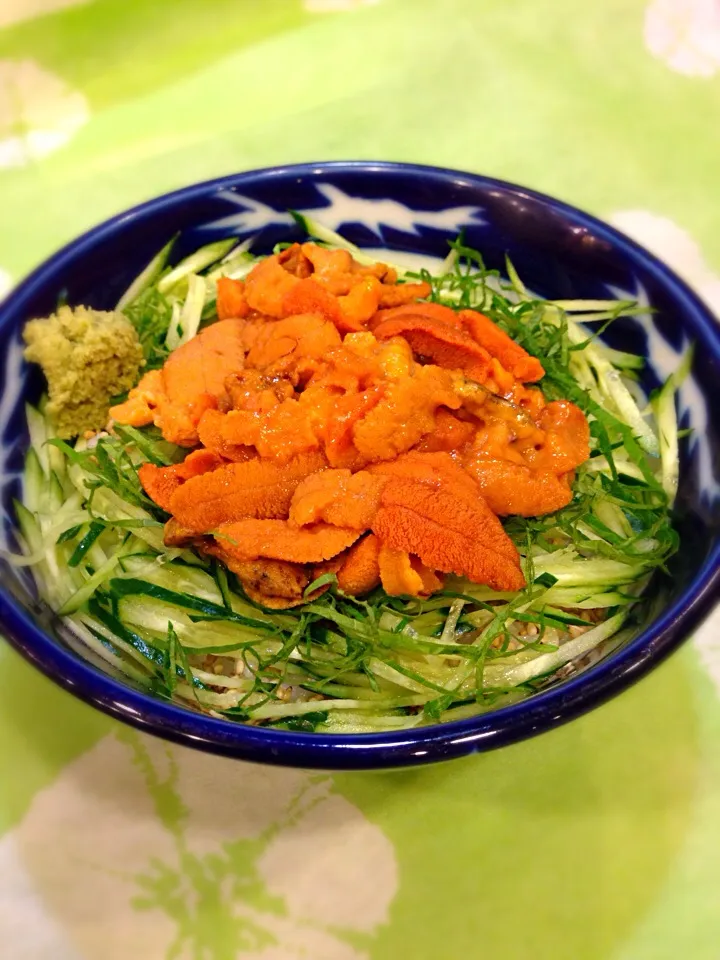 ウニ丼  ( sea urchin bowl ) @SENRYOU|チェリーリンさん