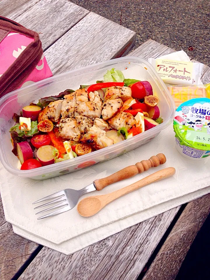 Grilled chicken salad picnic lunch|Kumigarさん