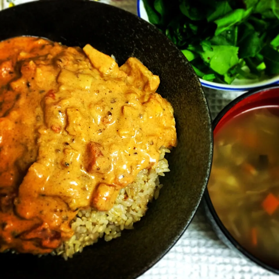 豆乳トマトクリームと大豆の挽き肉丼
ほうれん草のサラダ
野菜スープ★ベジタリアン、ビーガンメニュー|Vivian AnimalRightsさん