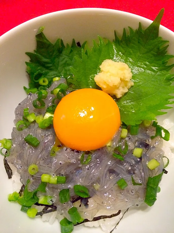 生しらす丼|まるまさん