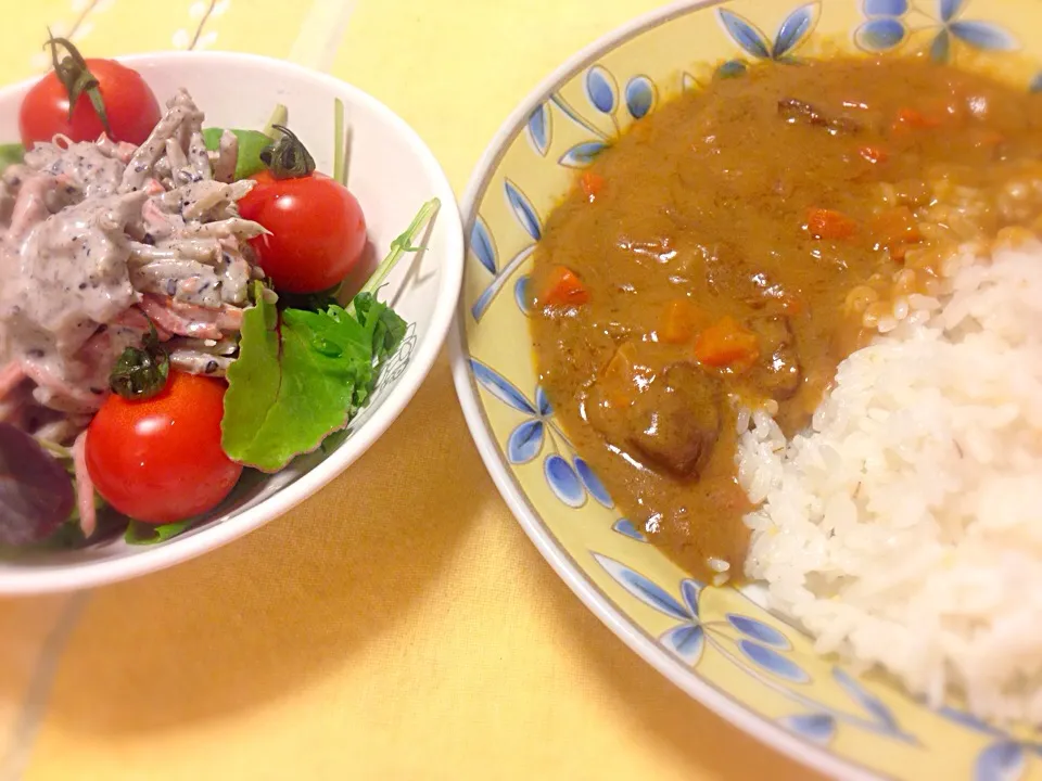 Snapdishの料理写真:カレーの日|Casa de fraterさん