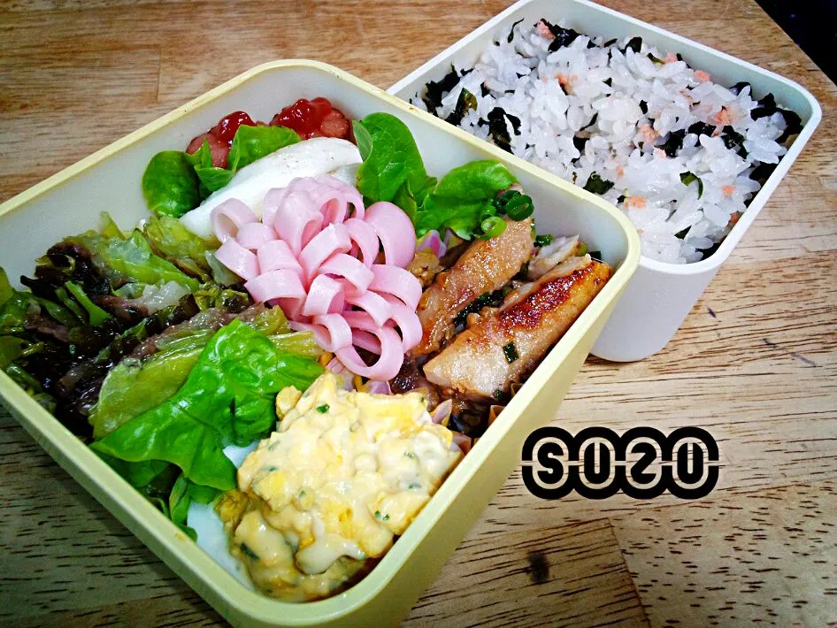 4/23のお弁当！|suzuさん