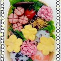 Snapdishの料理写真:コロコロおにぎりのお弁当