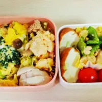 Snapdishの料理写真:2014/04/23 お弁当|Asamiさん