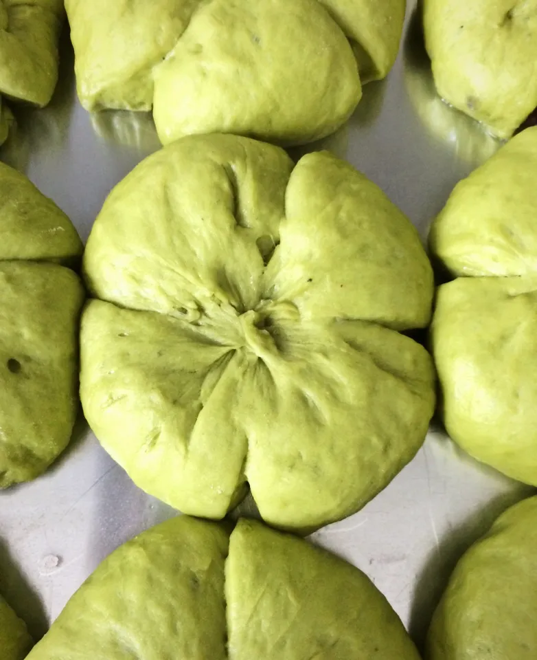 Green tea bread with red bean - ready for the oven|12Dragonさん