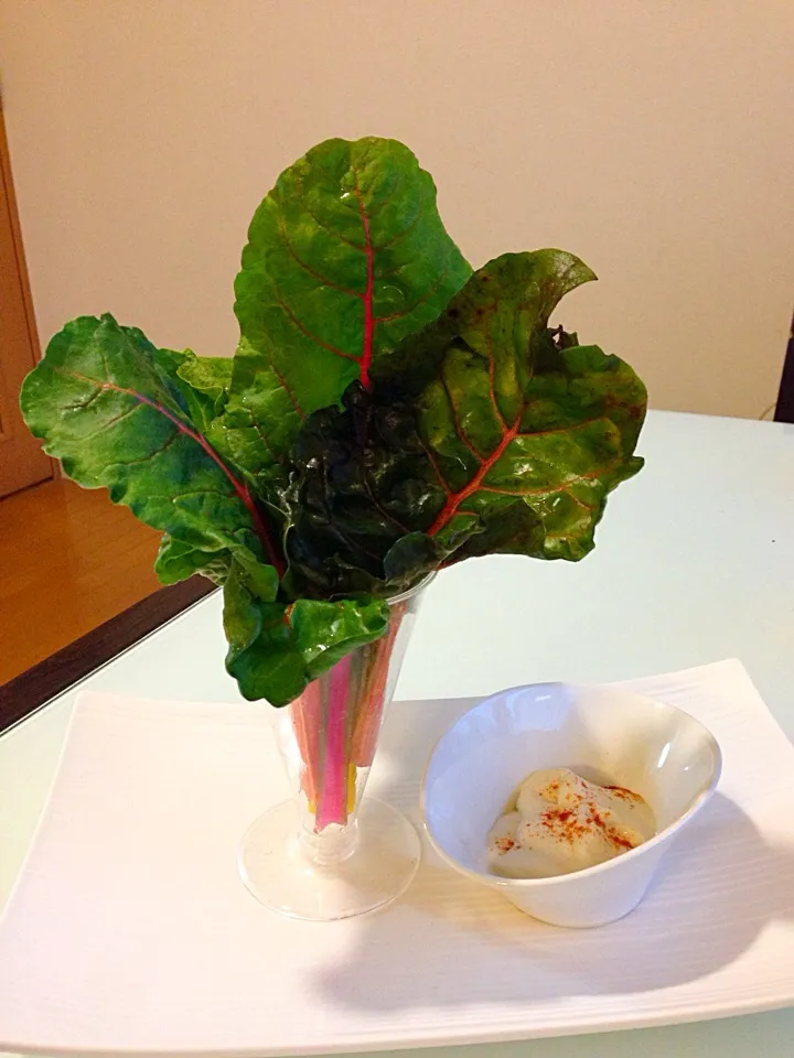 Snapdishの料理写真:Salad|sirakorn owadaさん