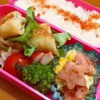 Snapdishの料理写真:今日のお弁当 ♡|るなさん