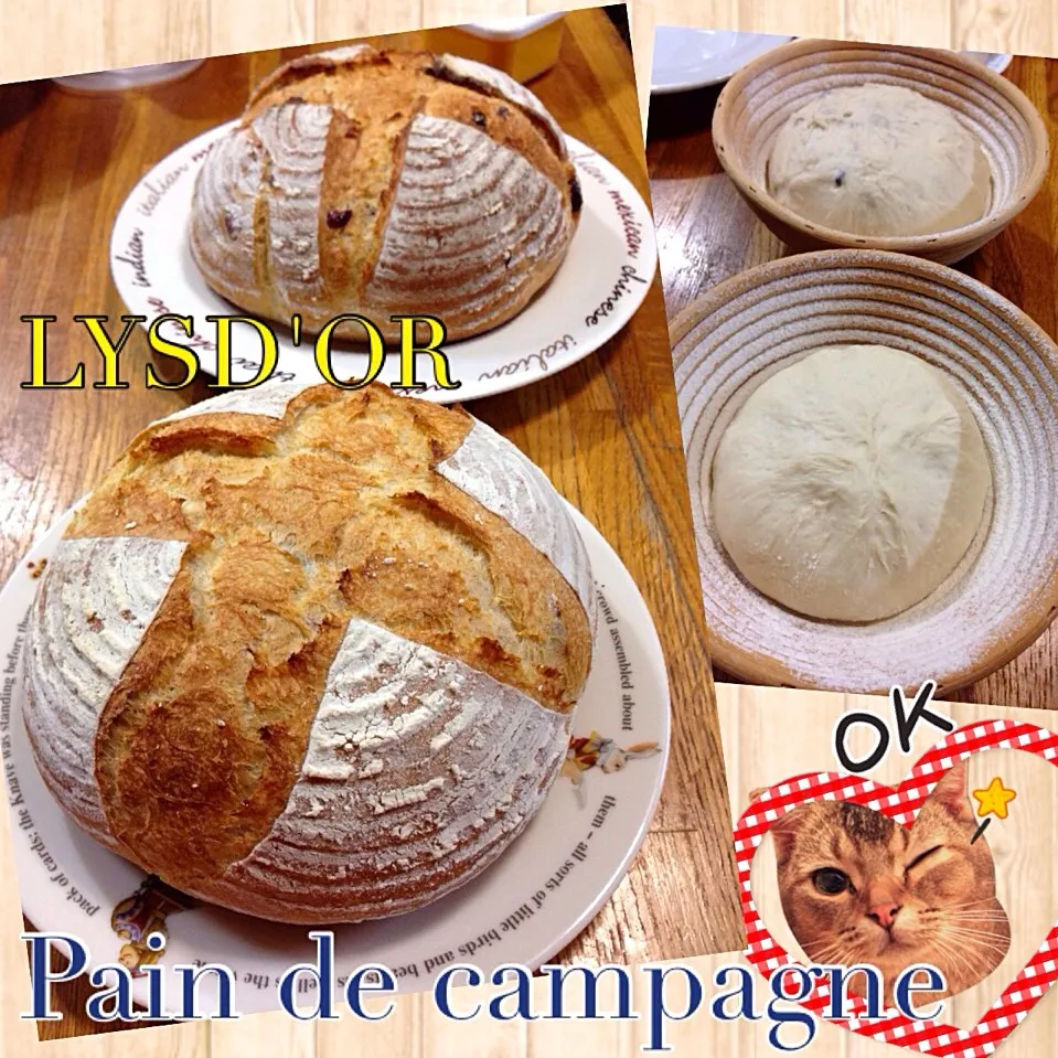 Snapdishの料理写真:LYSD'OR ＊Pain de campagne|Blueberry🫐さん