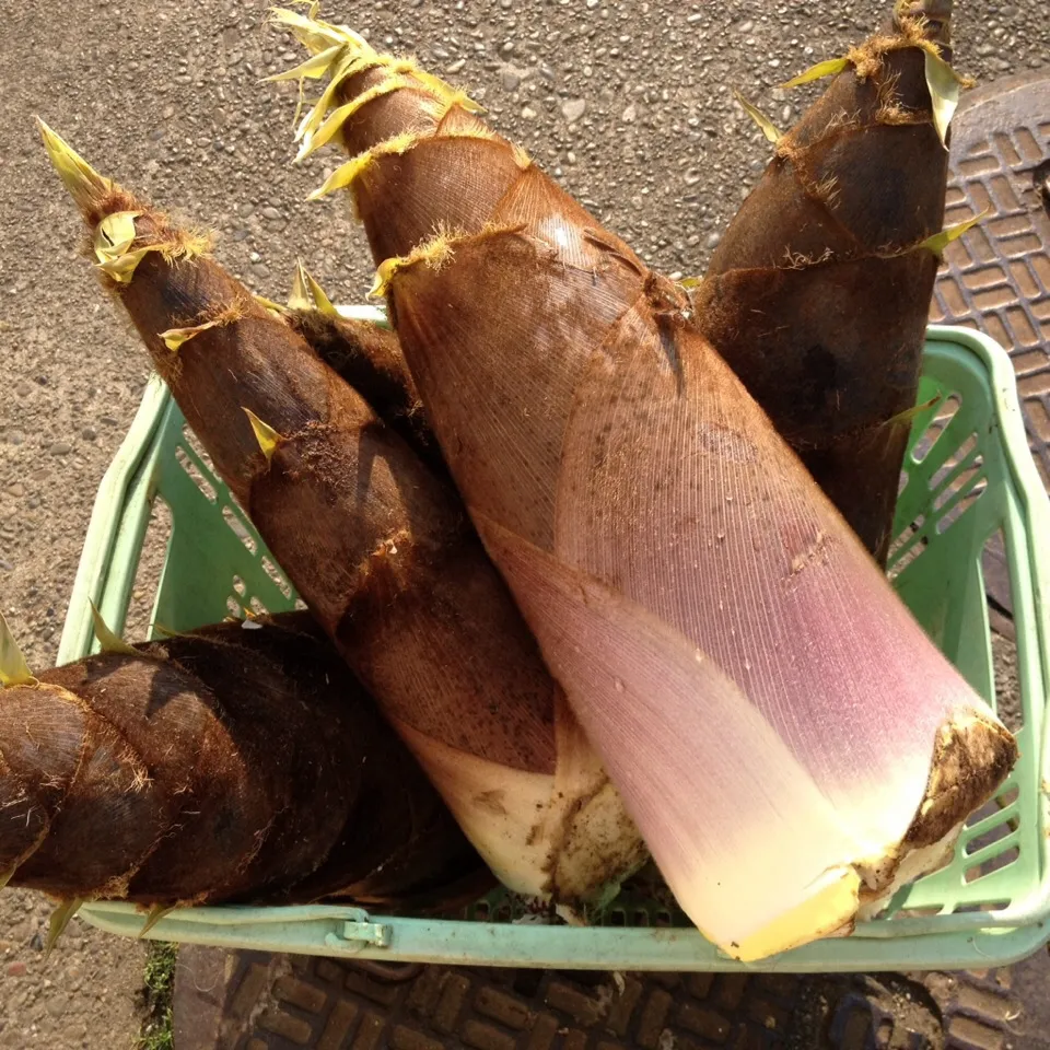 Snapdishの料理写真:病院食|Chocorinさん