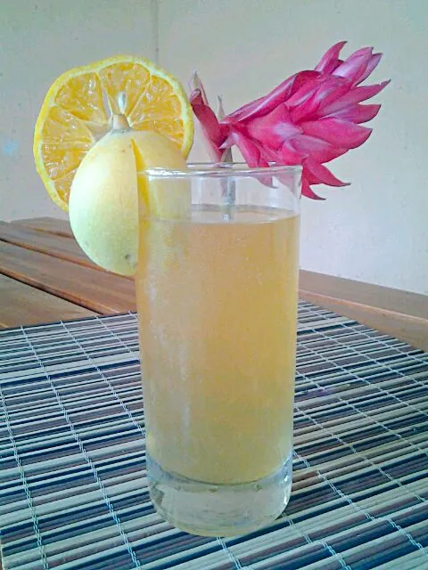 Snapdishの料理写真:Limonada con mango|Luis&LeidaGGさん