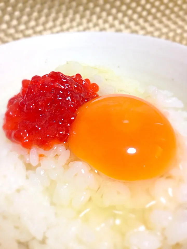 【今日のたまごかけご飯】たまご×すじこ|かとう ひろみさん