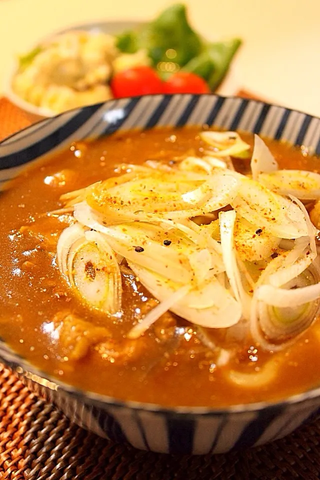 地味だけど美味しいカレーうどん|はさん