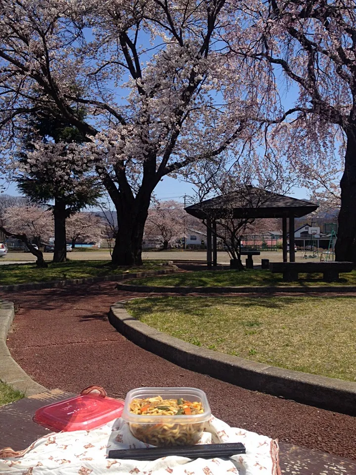 花見ランチ|西川季宏さん