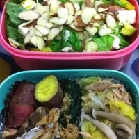 Snapdishの料理写真:お野菜たっぷり★美肌に近づくお弁当|栄養士のダイエットレシピ byあすけんさん