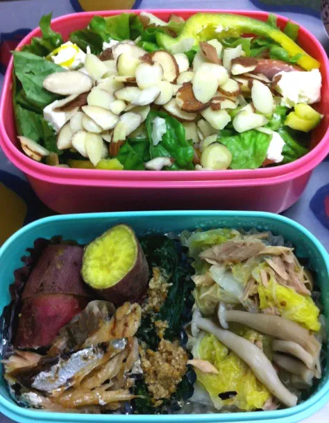 お野菜たっぷり★美肌に近づくお弁当|栄養士のダイエットレシピ byあすけんさん